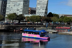Liverpool: Amphibious Tour and Royal Albert Dock Splashdown