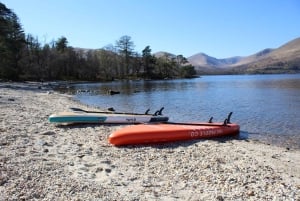 Лох-Ломонд: SUP-приключение на острове Валлаби с гидом