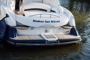 ロンドン：2時間のプライベート・ラグジュアリー・テムズ川クルーズ / チャーター