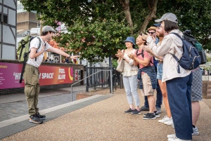 London: 30 severdigheter i London - guidet spasertur