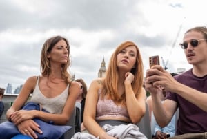Londres: Tour de las 30+ atracciones turísticas más importantes - Experiencia privada de lujo