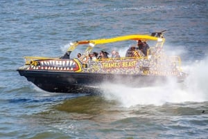 Londyn: 40-minutowa wycieczka łodzią motorową Thames Beast