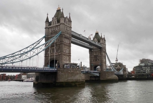Londen: 5-uurs privétour met ophaalservice