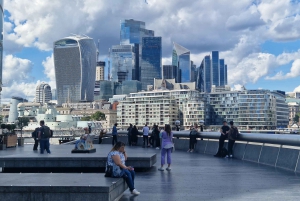London med taxi: Højdepunkter i en ægte London Black Cab.