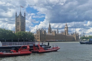 London med taxi: Højdepunkter i en ægte London Black Cab.