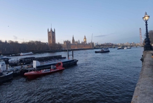 London med taxi: Højdepunkter i en ægte London Black Cab.