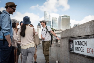 Londres: Castelos e pontes (tour particular): Mais de 15 pontos turísticos