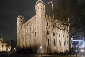 London: chauffeur driven tour - half day self guided