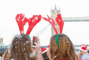 Londres: Crucero turístico del Día de Navidad