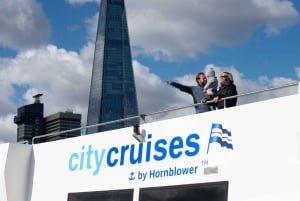 Londres: Crucero turístico del Día de Navidad