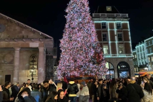 Londen: Kerstverlichting privétaxitour