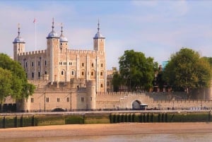 Londres: Visita a la ciudad con crucero fluvial y London Eye