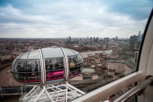 Londres: Visita a la ciudad con crucero fluvial y London Eye