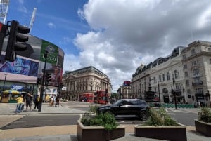 London: Custom Private Tour by Car