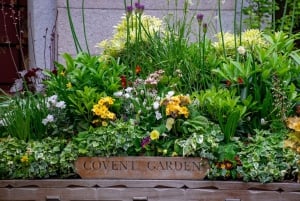 Lontoo: Räätälöity puolen päivän yksityinen kiertoajelu paikallisen kanssa.