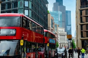 Lontoo: Räätälöity puolen päivän yksityinen kiertoajelu paikallisen kanssa.