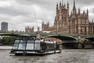 ロンドン：デラックス・ハリー・ポッター・ツアー、クルーズ&ロンドン塔