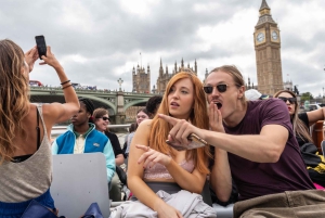 ロンドン：デラックス・ハリー・ポッター・ツアー、クルーズ&ロンドン塔