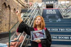 ロンドン：デラックス・ハリー・ポッター・ツアー、クルーズ&ロンドン塔