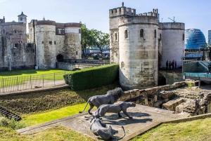 ロンドン：デラックス・ハリー・ポッター・ツアー、クルーズ&ロンドン塔