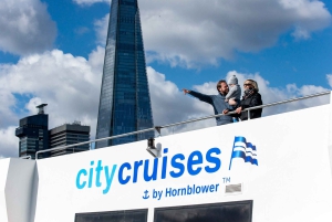 London: Fullt flexibelt River Thames Sightseeing Pass