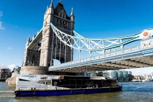 London: Fullt flexibelt River Thames Sightseeing Pass