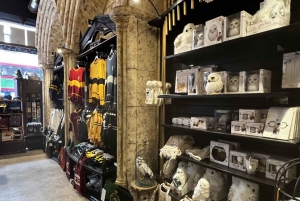 Londres: Cruzeiro guiado pelo Tâmisa e excursão a pé de Harry Potter