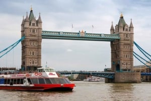 Londra: tour di Harry Potter, crociera sul fiume e The London Dungeon