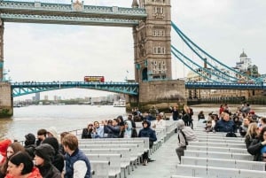 ロンドン：リバークルーズとロンドンアイ付きのハリーポッターツアー