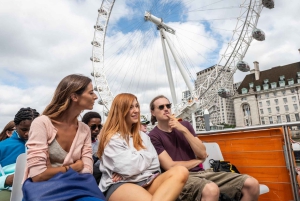 London: Harry Potter Walking Tour und Themse-Kreuzfahrt
