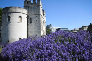London: Harry Potter Walking Tour und Eintritt in den Tower of London