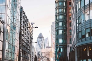 Londyn: Ukryte sekrety miasta z przewodnikiem - wycieczka z przewodnikiem