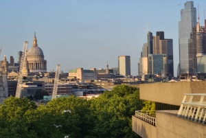 Londres : visite guidée privée des points forts et des joyaux cachés