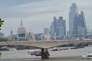 Londres : visite guidée privée des points forts et des joyaux cachés