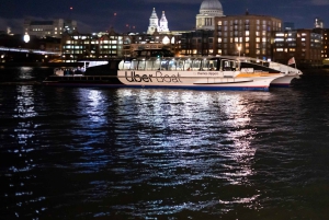 Londres: Pase turístico Hop-On Hop-Off de 2 días por el río Támesis