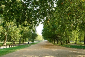 Londres: Passe Hop-On Hop-Off com cruzeiro pelo rio Tâmisa 24 horas