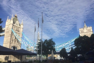 Londen: Iconische Londense Taxi Tour - privétour van 3 uur