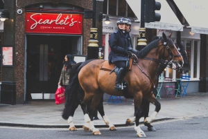 London: Premium 20+ severdigheter med lokal ekspertguide