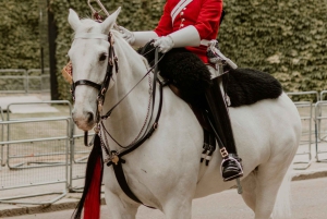 London: Premium 20+ severdigheter med lokal ekspertguide