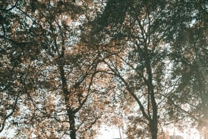 London: Premium 20+ severdigheter med lokal ekspertguide