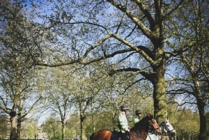 London: Premium 20+ severdigheter med lokal ekspertguide