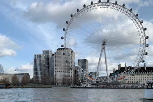 London: Private 3-Hour Family-Friendly Highlights Tour