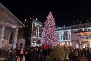 London: Private Christmas Lights Taxi Tour