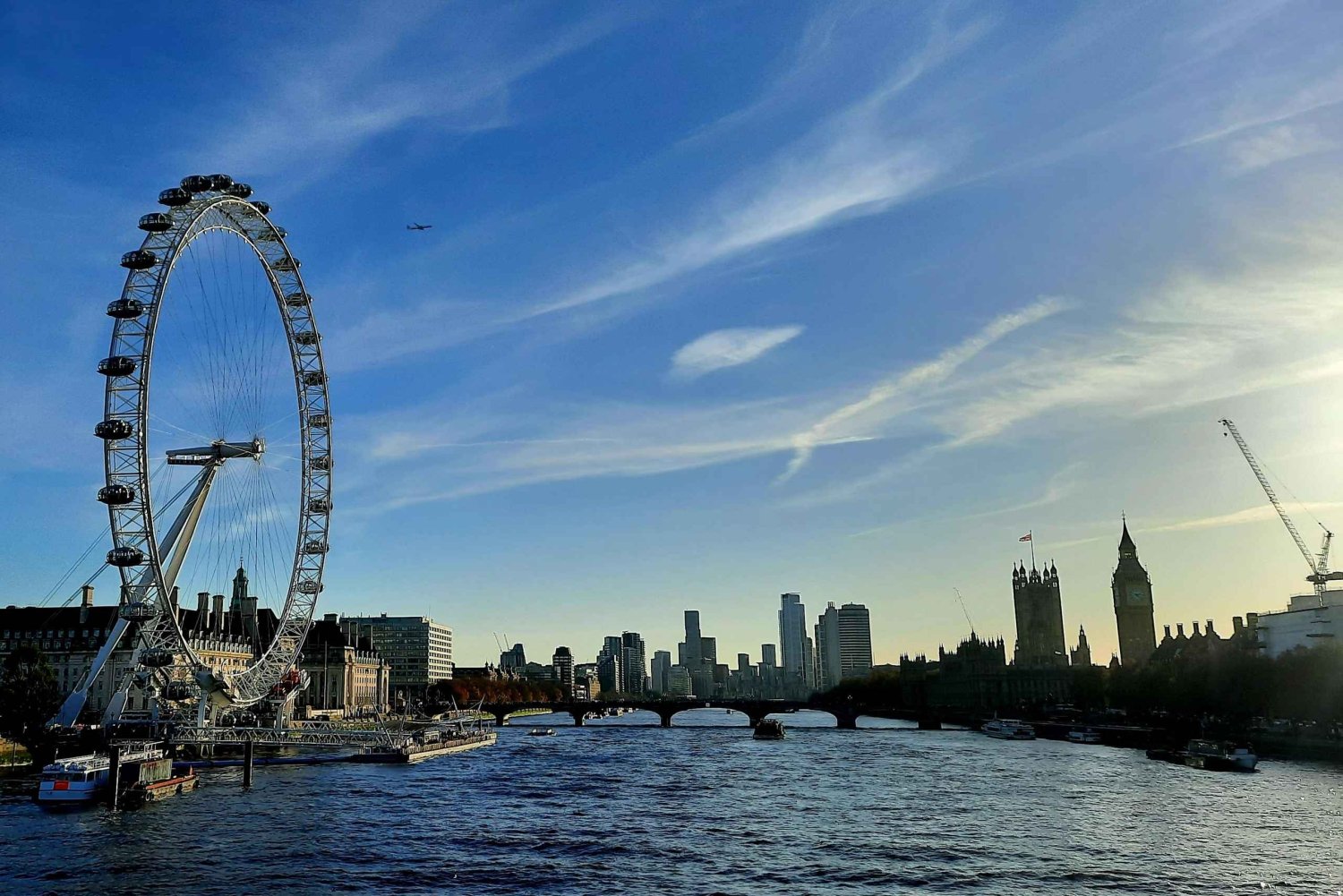 London: Privat halvdagstur til Londons seværdigheder