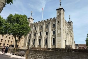 Londres: tour turístico panorámico privado en taxi negro