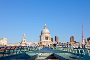Londres: tour turístico panorámico privado en taxi negro