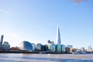 Londres: tour turístico panorámico privado en taxi negro