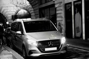 Londra: Tour privato autoguidato con autista