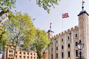 Londres: Tour privado en taxi de más de 50 monumentos y Torre de Londres