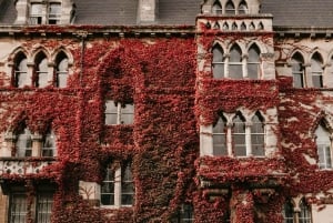 Лондон: Частная экскурсия в Стоунхендж, Виндзорский замок и Бат